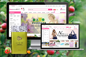 ��˫���ɳ������̳�