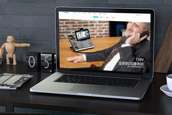 ��˫��������