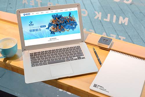 ��˫����ҽҩ��